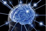 memory brain